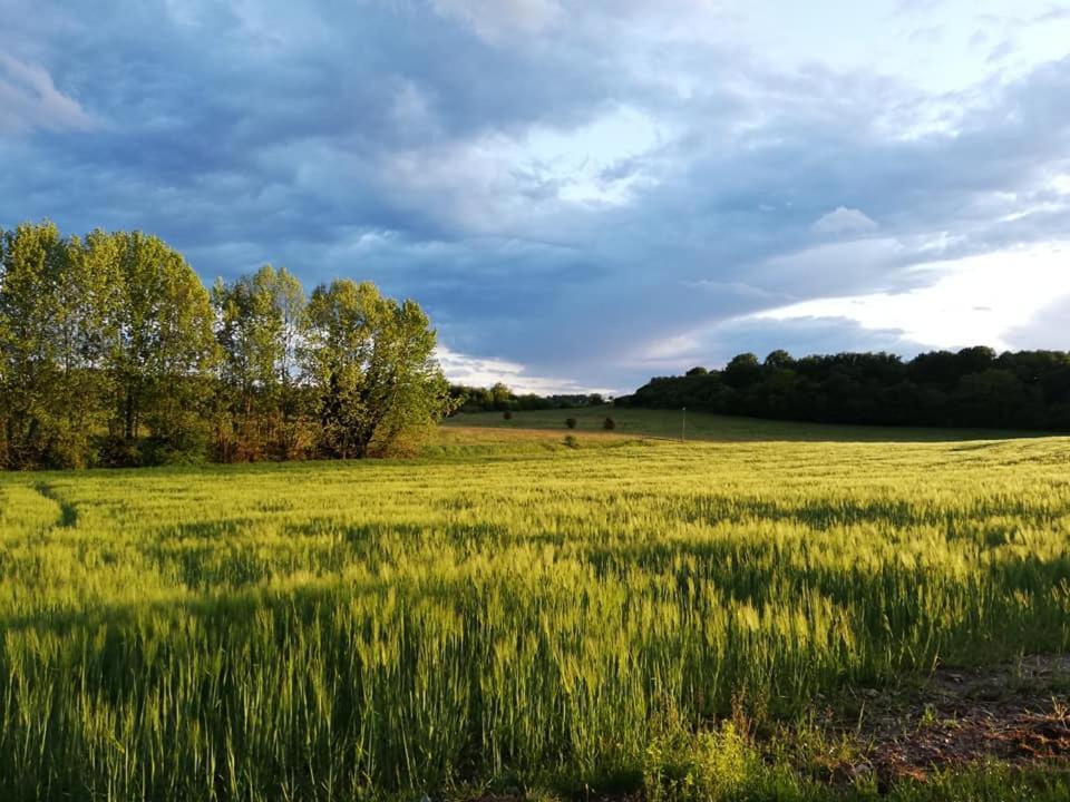Agriturismo Con Cucina Tipica Nuova Scardua Cavriana Экстерьер фото