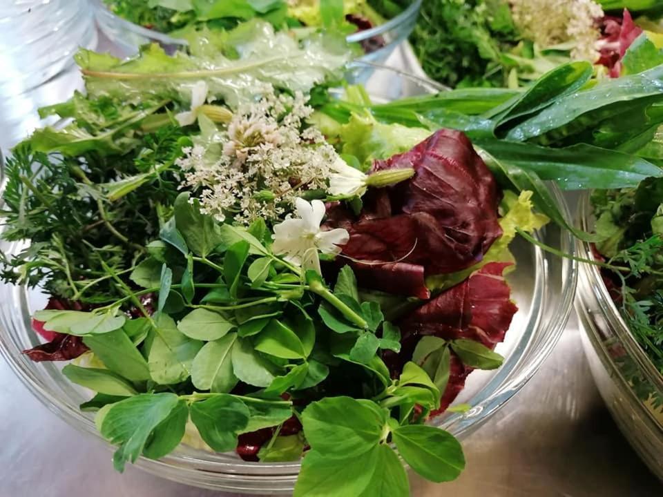 Agriturismo Con Cucina Tipica Nuova Scardua Cavriana Экстерьер фото