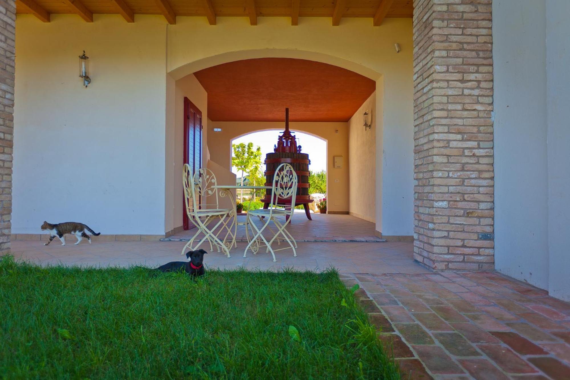 Agriturismo Con Cucina Tipica Nuova Scardua Cavriana Экстерьер фото