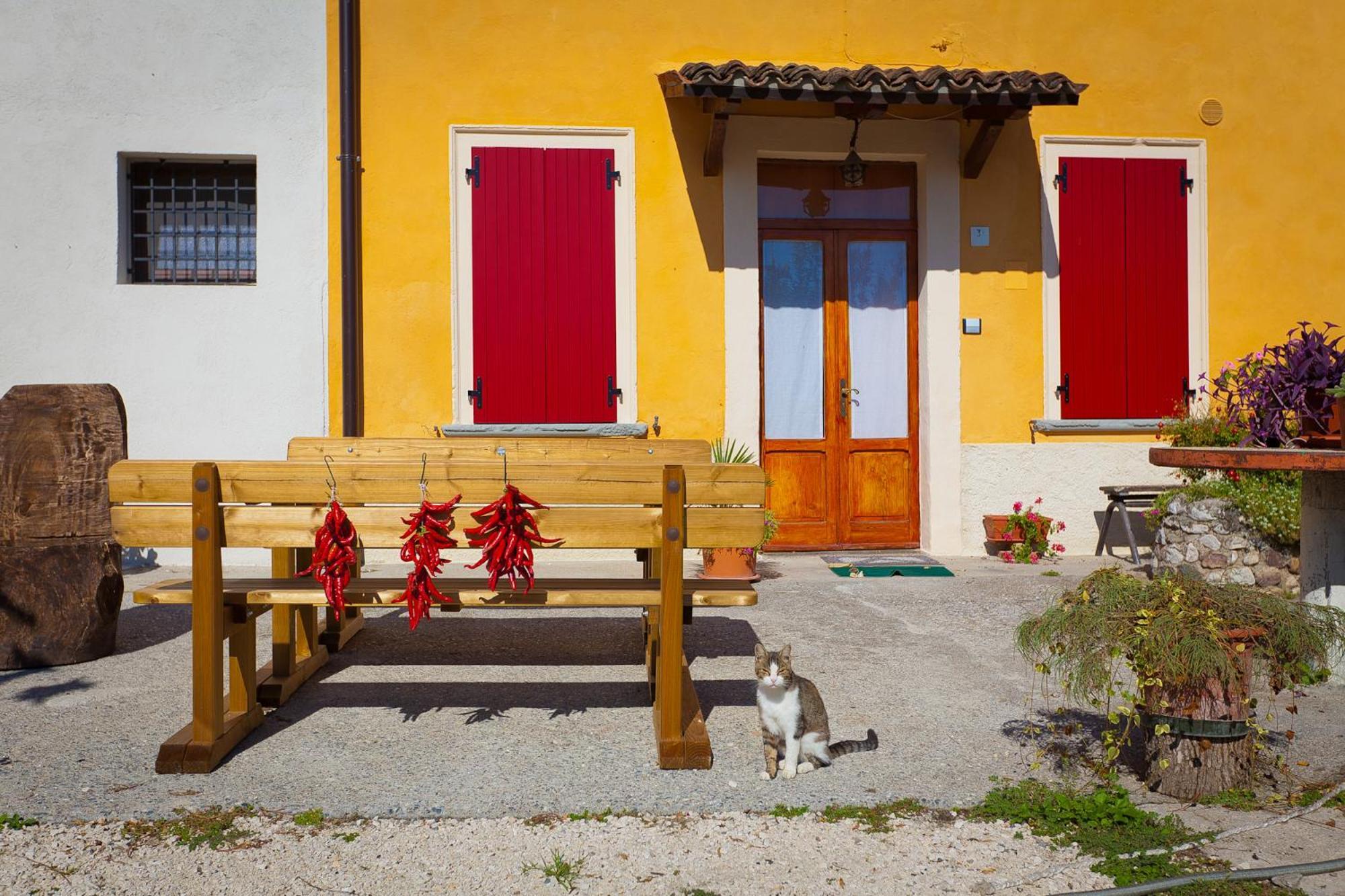 Agriturismo Con Cucina Tipica Nuova Scardua Cavriana Экстерьер фото