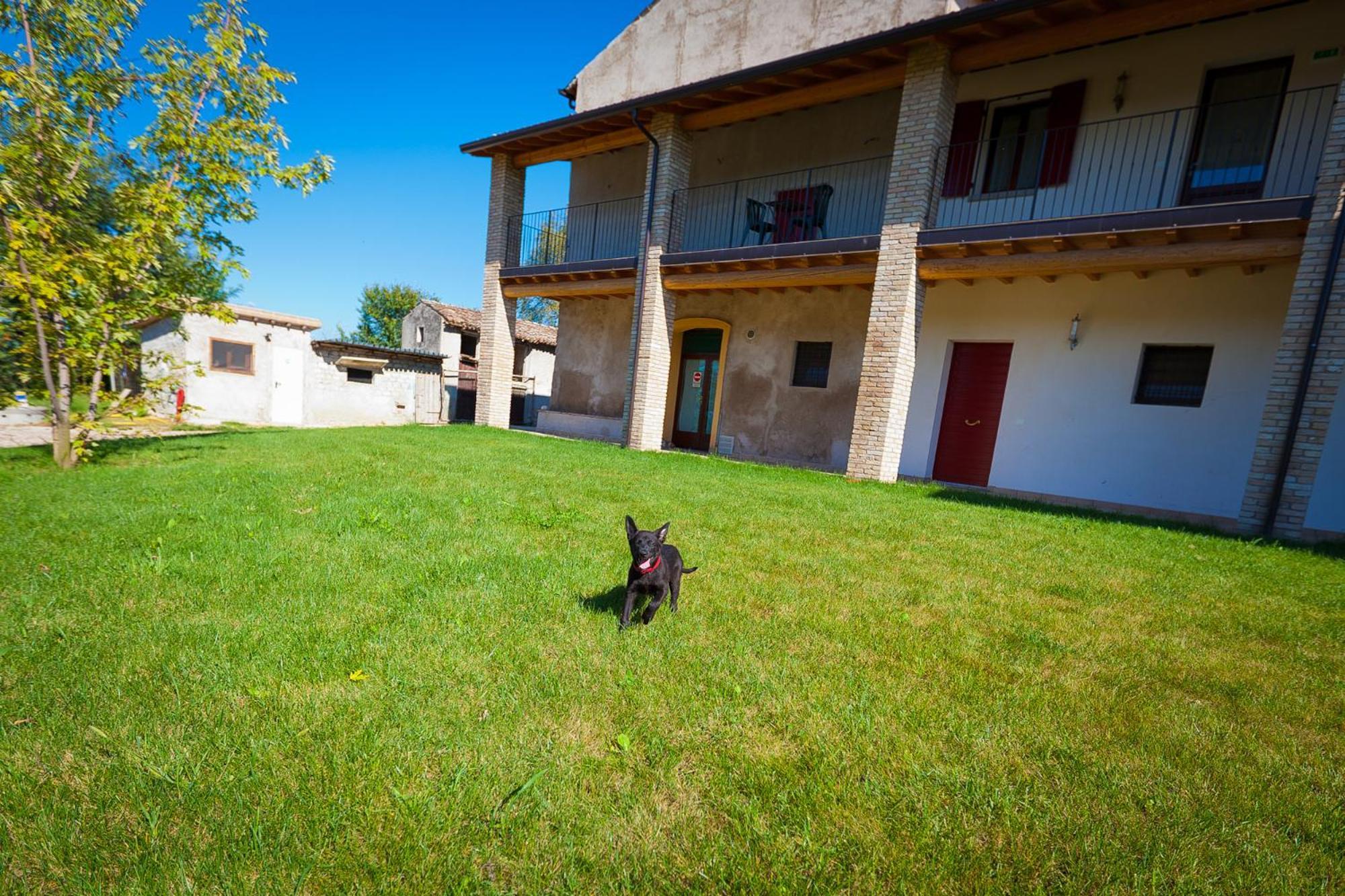Agriturismo Con Cucina Tipica Nuova Scardua Cavriana Экстерьер фото