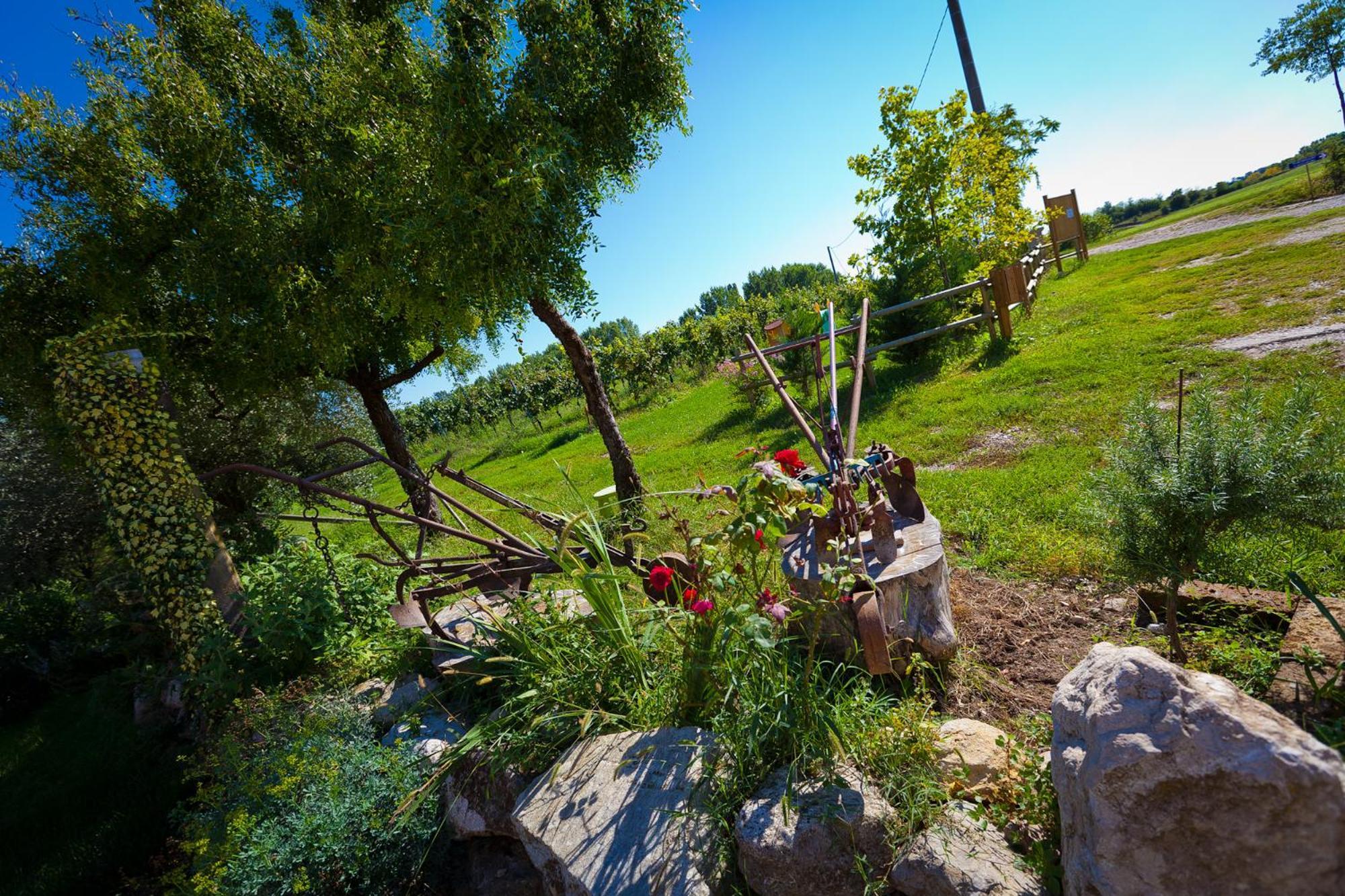 Agriturismo Con Cucina Tipica Nuova Scardua Cavriana Экстерьер фото