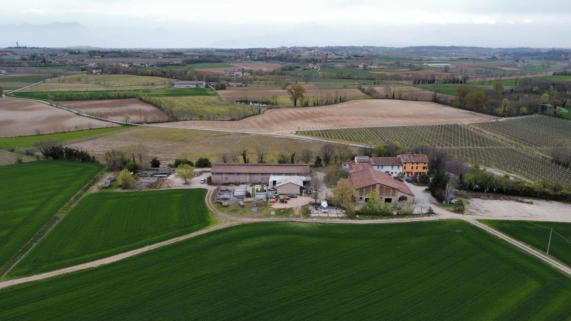 Agriturismo Con Cucina Tipica Nuova Scardua Cavriana Экстерьер фото
